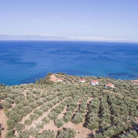 Κτήμα Παπαβασιλόπουλος 2 - Villa Koróni Eksteriør billede