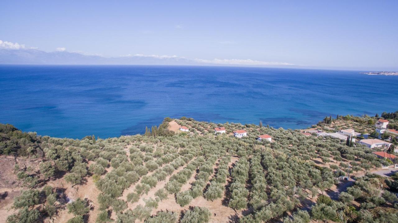 Κτήμα Παπαβασιλόπουλος 2 - Villa Koróni Eksteriør billede
